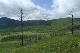 image0138