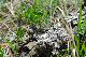 image0139