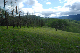 image0140