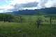 image0141