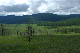 image0142