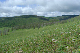 image0144