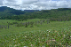 image0145