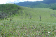 image0148