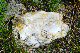 image0149