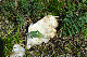 image0150