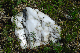 image0151