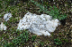 image0153