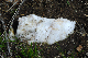 image0154