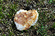 image0156