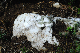 image0157