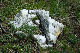 image0158