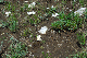 image0159