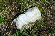 image0160