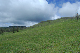 image0165