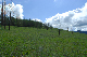 image0167