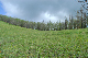 image0169