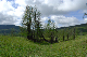 image0171