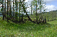 image0172