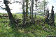 image0173