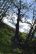 image0174
