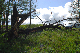 image0175