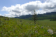 image0176