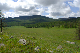 image0177