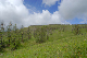 image0178