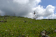 image0179