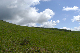 image0182