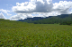 image0186