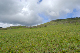 image0187