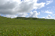 image0188