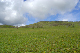 image0190