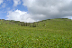 image0191