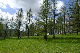 image0193