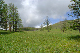 image0194