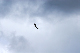 image0195