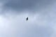 image0196