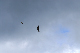 image0198