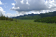 image0199