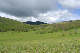 image0201