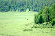 image0203