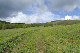 image0212