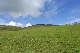 image0213