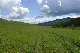 image0214