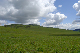 image0215