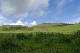 image0216