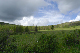image0217